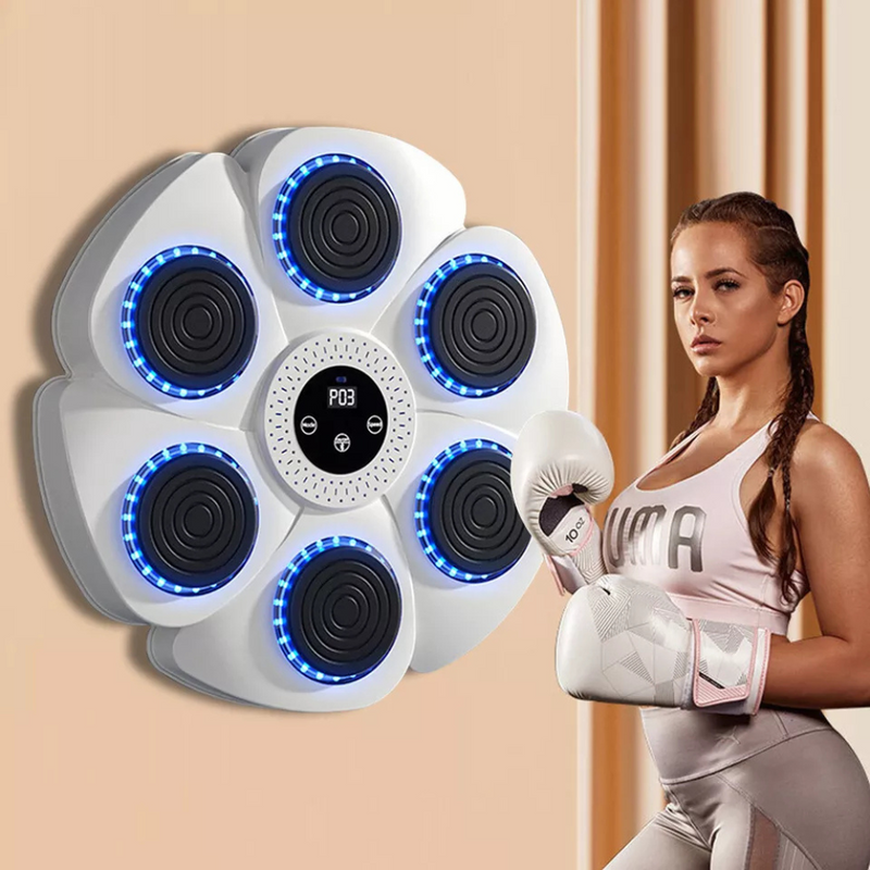 Bluetooth Wall Mount Boxing Trainer